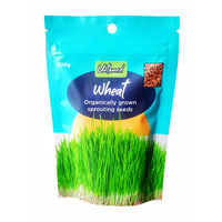 Wheat sprouting seeds 100g
